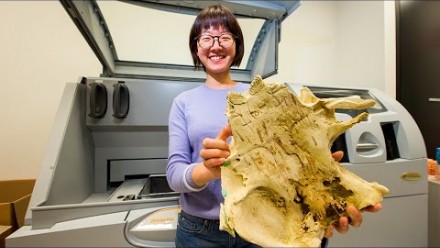 3D printed fish fossil may reveal origin of human teeth