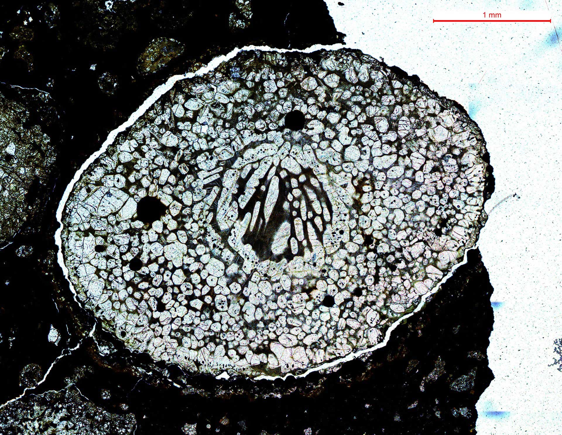 An image taken under transmitted light of an unusually large layered porphyritic olivine chondrule in a >4.5 billion years old meteorite. Credit: Aditya Patkar