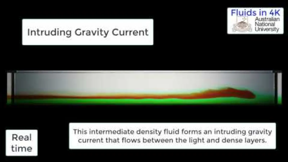 Preview image for the video "Intruding Gravity Current".