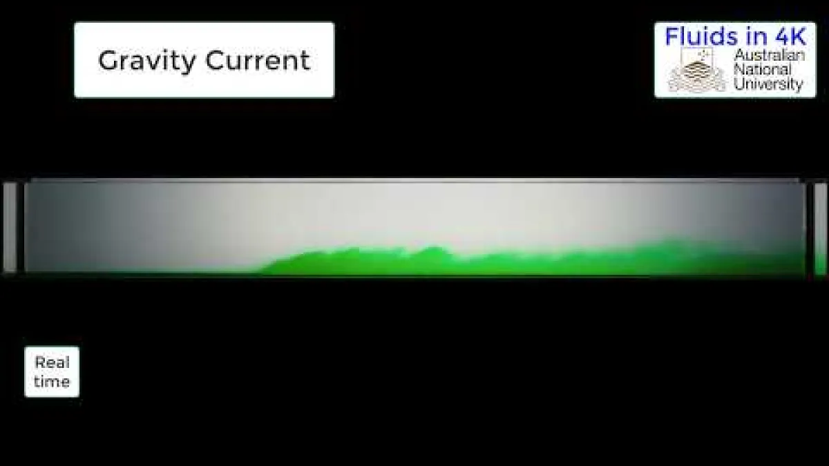 Preview image for the video "Gravity Current demonstration".