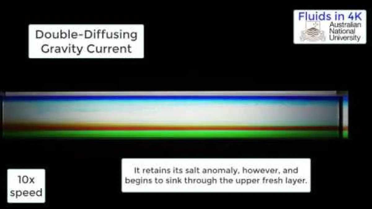 Preview image for the video "Double-Diffusing Gravity Current".