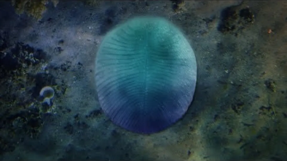 Preview image for the video "Is Dickinsonia our oldest ancestor?".