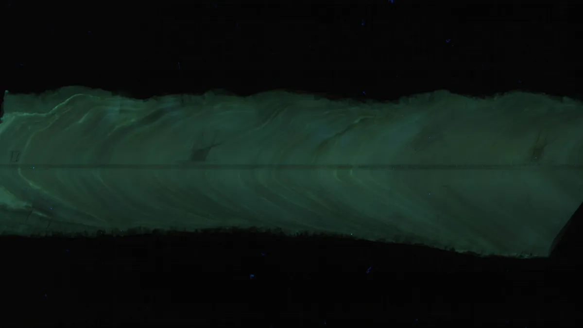 Mineralogical changes in a stalagmite are revealed under UV light. Courtesy: Alena Kimbrough, ANU