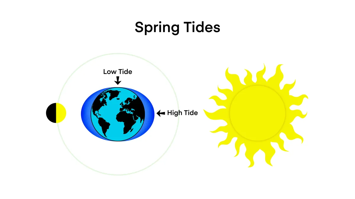 Diagram of the earth, moon and sun
