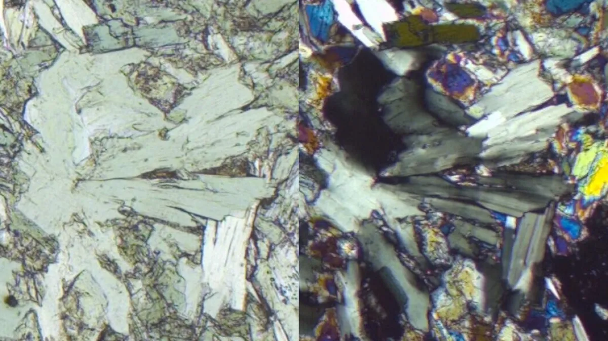 Chlorite in a thin section of a greenschist