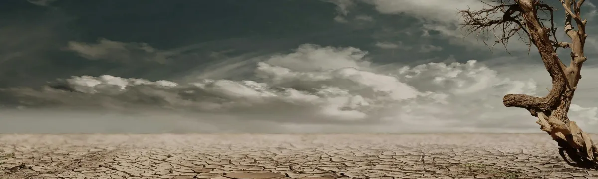 desertification from climate change.