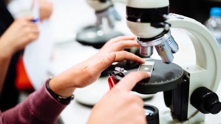 geological-collections-4