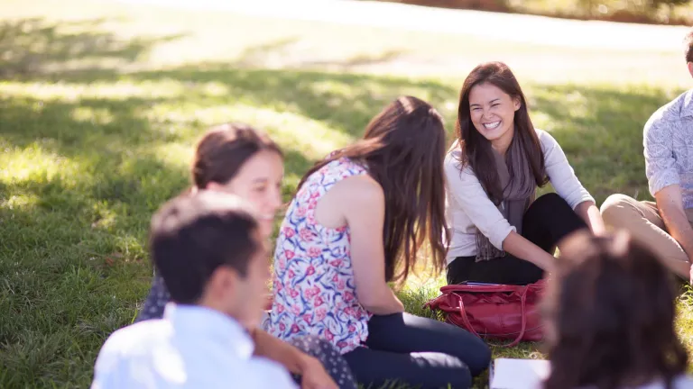 People sitting on the lawn chatting