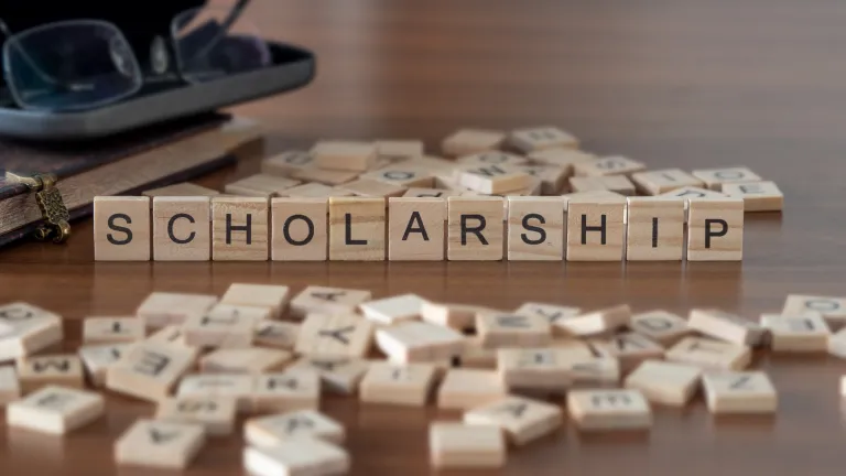 Scholarship