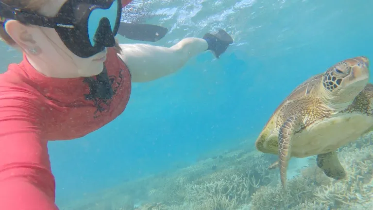 Diver looking at a turtle in the sea